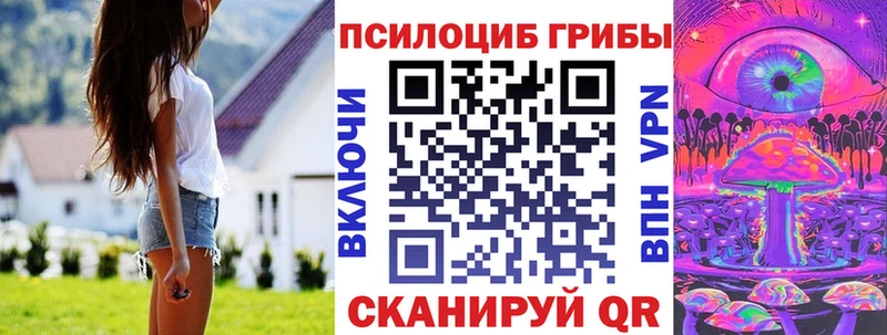 Псилоцибиновые грибы Psilocybine cubensis  Тихвин 