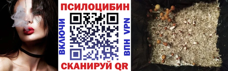Псилоцибиновые грибы Magic Shrooms Тихвин